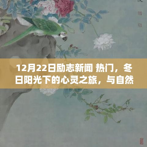 励志新闻回顾，冬日心灵之旅启程，与自然美景的不解之缘，寻找内心的宁静与力量