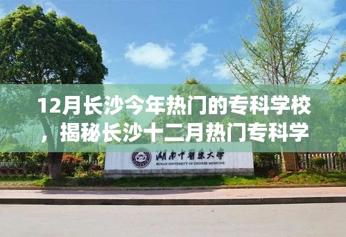 揭秘长沙十二月热门专科学校，专科生的梦想起航之地！