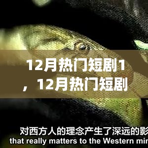 2024年12月 第26页