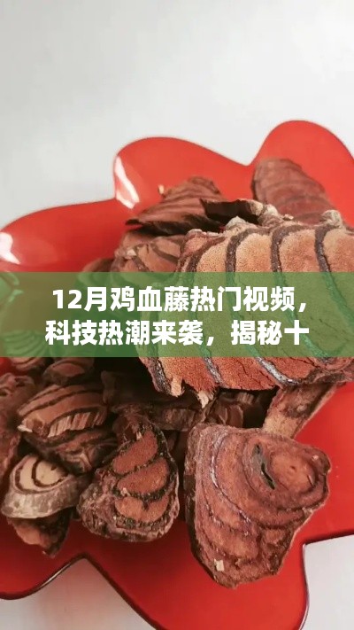 揭秘十二月鸡血藤热潮背后的神秘科技新品，热门视频展现科技新潮