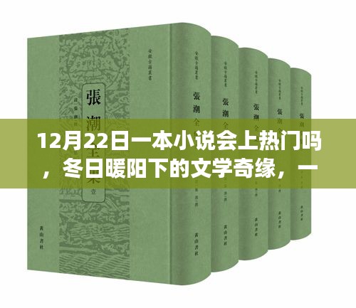 冬日暖阳下的文学奇缘，一本小说的热门之旅与友情温情的期待（12月22日会否成为热门之作）