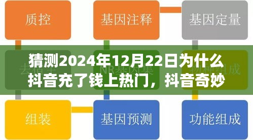 揭秘抖音奇妙日，小杰的热门梦想与暖心陪伴背后的秘密，为何充值就能上热门？