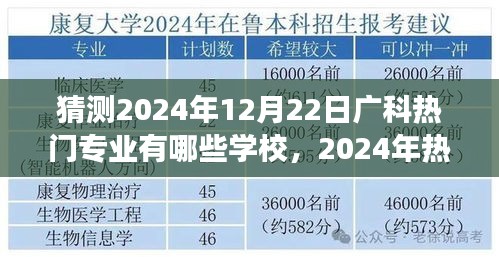 2024年12月 第34页