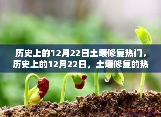 历史上的土壤修复热潮，重塑自信的种子在12月22日破土而出