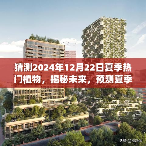 揭秘未来夏季热门植物，预测2024年12月22日植物流行趋势