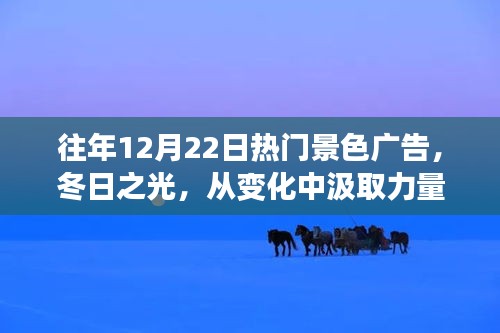 冬日之光，汲取力量，闪耀知识海洋的热门景色广告回顾