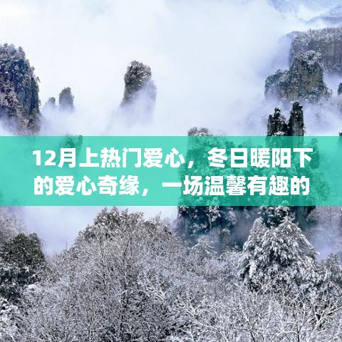 冬日暖阳下的爱心奇缘，守护之旅的温馨之旅