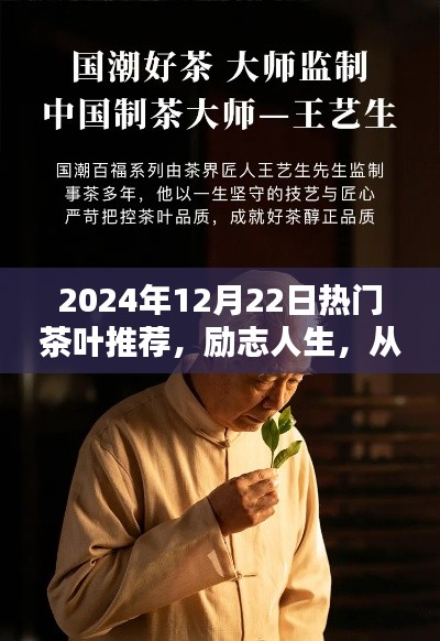 励志人生，从一杯好茶启程，2024年热门茶叶推荐指南