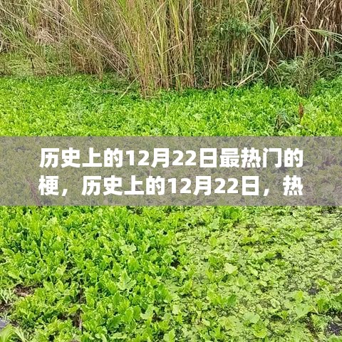 历史上的12月22日热门梗深度解析，演变与影响探讨