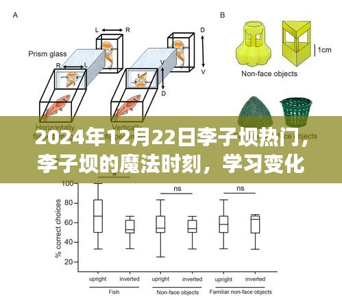 李子坝魔法时刻，变化的力量与自信种子的绽放（2024年12月22日）