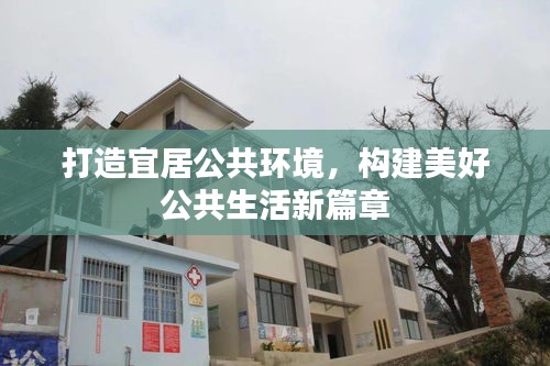 打造宜居公共环境，构建美好公共生活新篇章