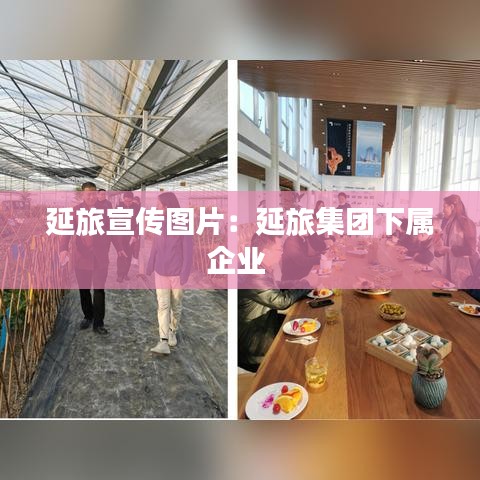 延旅宣传图片：延旅集团下属企业 