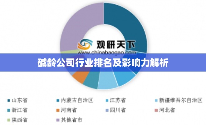 碱龄公司行业排名及影响力解析