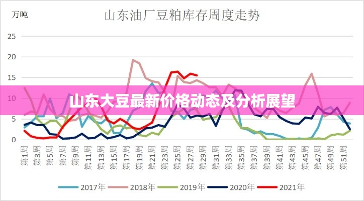 山东大豆最新价格动态及分析展望