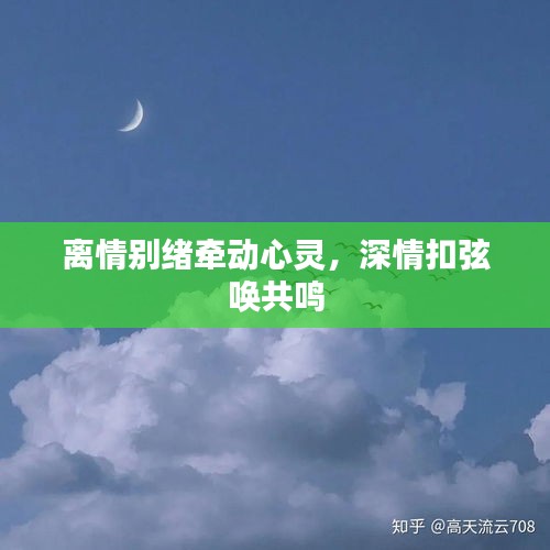 离情别绪牵动心灵，深情扣弦唤共鸣