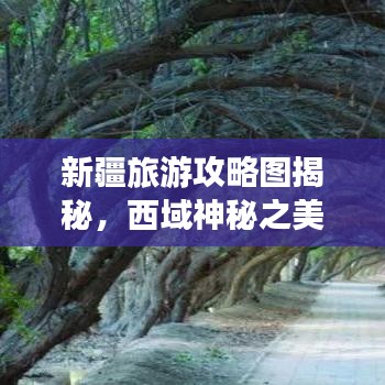 新疆旅游攻略图揭秘，西域神秘之美探索之旅