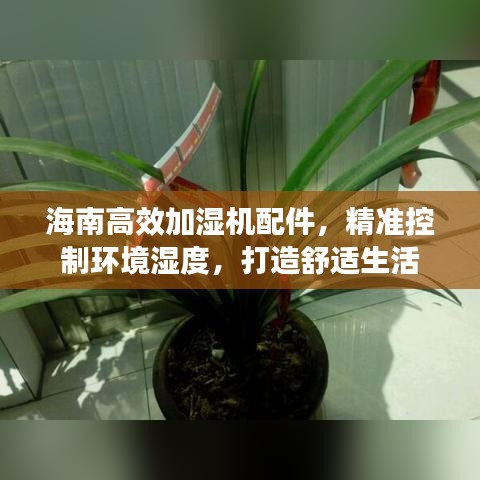 海南高效加湿机配件，精准控制环境湿度，打造舒适生活