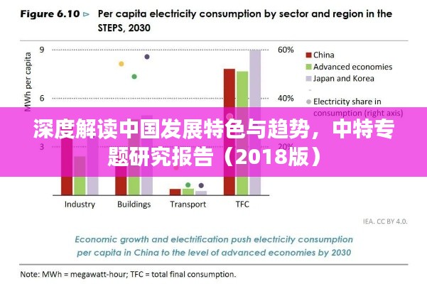 深度解读中国发展特色与趋势，中特专题研究报告（2018版）