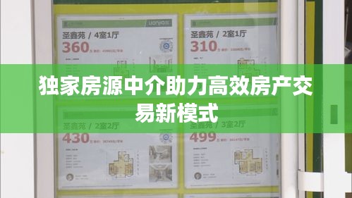 独家房源中介助力高效房产交易新模式