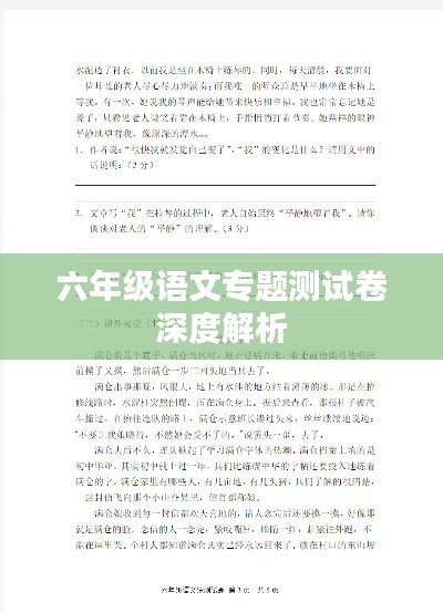 六年级语文专题测试卷深度解析