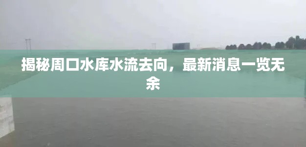 揭秘周口水库水流去向，最新消息一览无余