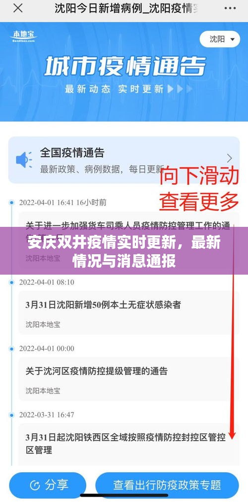 安庆双井疫情实时更新，最新情况与消息通报