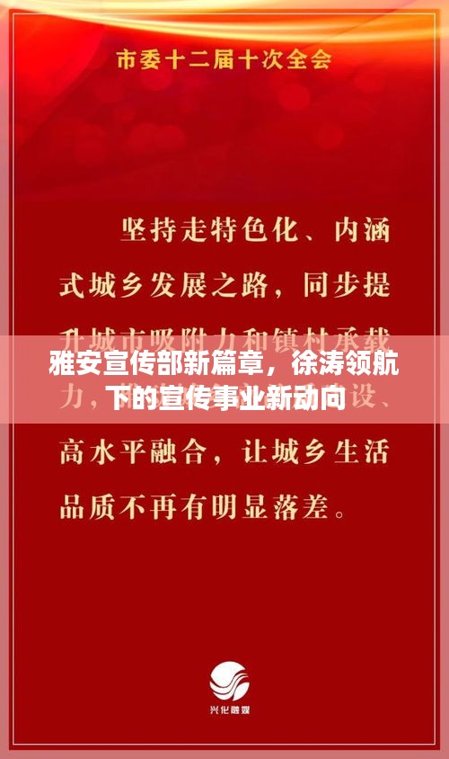 雅安宣传部新篇章，徐涛领航下的宣传事业新动向