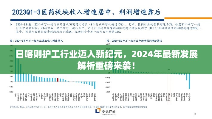 日喀则护工行业迈入新纪元，2024年最新发展解析重磅来袭！