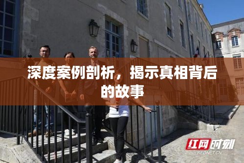 深度案例剖析，揭示真相背后的故事