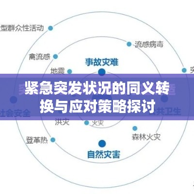 紧急突发状况的同义转换与应对策略探讨