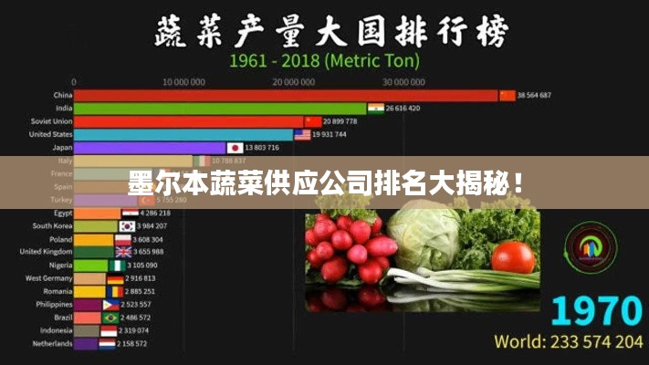 墨尔本蔬菜供应公司排名大揭秘！