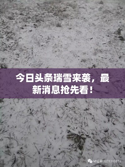 今日头条瑞雪来袭，最新消息抢先看！