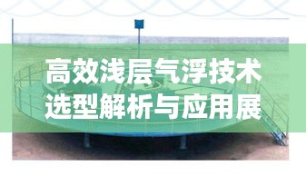 物离乡贵