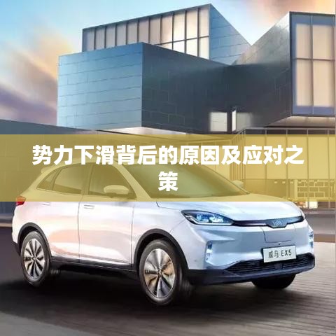 势力下滑背后的原因及应对之策