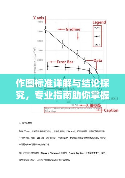 作图标准详解与结论探究，专业指南助你掌握要点