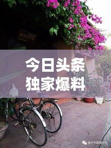 今日头条独家爆料，娇姐最新动态揭秘