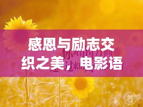 感恩与励志交织之美，电影语录启迪心灵