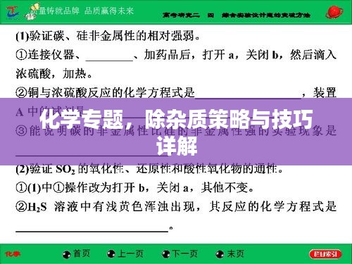 化学专题，除杂质策略与技巧详解