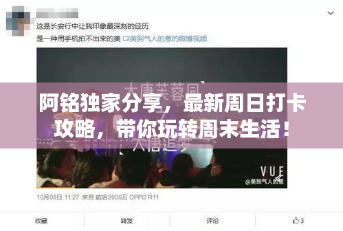 阿铭独家分享，最新周日打卡攻略，带你玩转周末生活！
