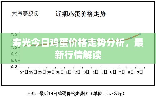 寿光今日鸡蛋价格走势分析，最新行情解读