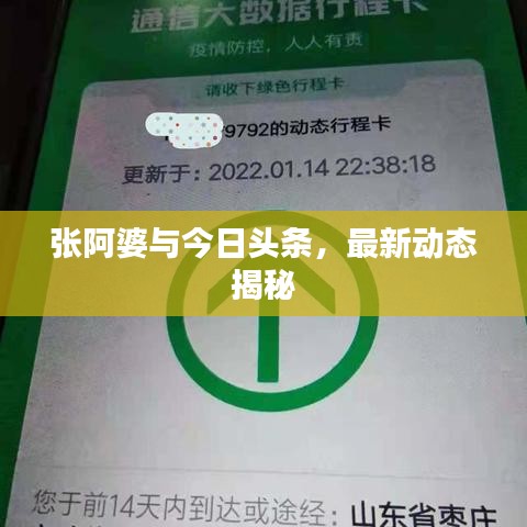 张阿婆与今日头条，最新动态揭秘