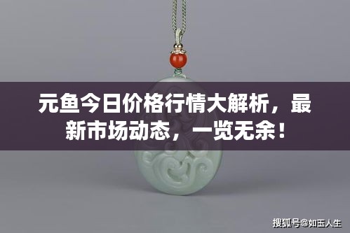 元鱼今日价格行情大解析，最新市场动态，一览无余！
