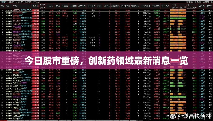 2025年6月4日 第4页