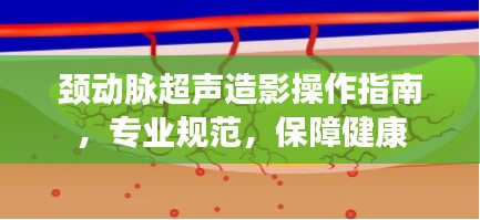 2025年6月4日 第2页