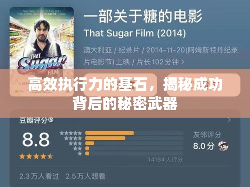 高效执行力的基石，揭秘成功背后的秘密武器